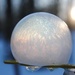 Day 54:  Frozen Bubbles  by jeanniec57