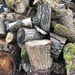 Wood pile by nicolaeastwood