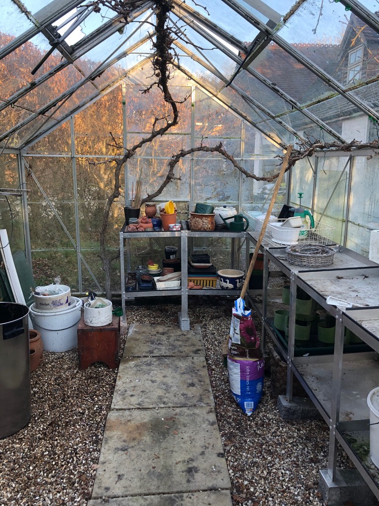 Tidy Greenhouse by nicolaeastwood