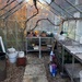 Tidy Greenhouse by nicolaeastwood