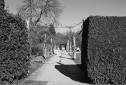 24th Feb 2012 - Emmetts Garden - National Trust