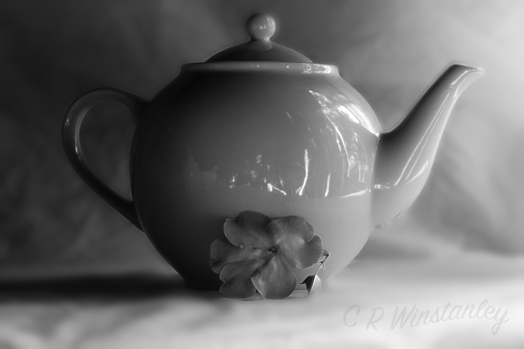 Tea Pot by kipper1951