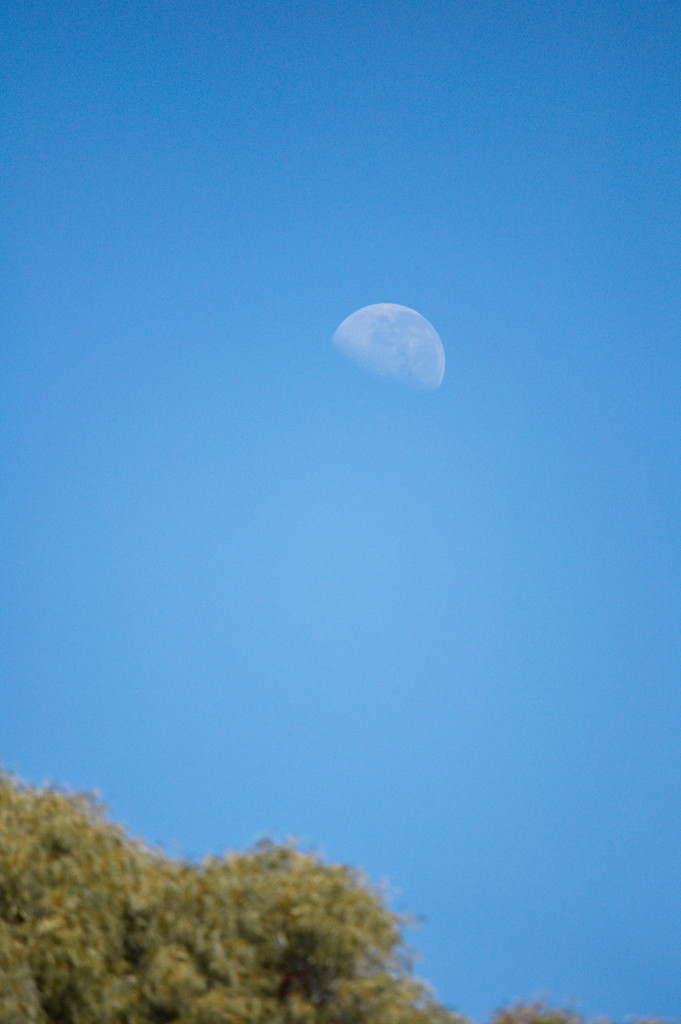 Midday Moon - 11.37am today. by kgolab