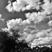 Cloudy Sky by nickspicsnz