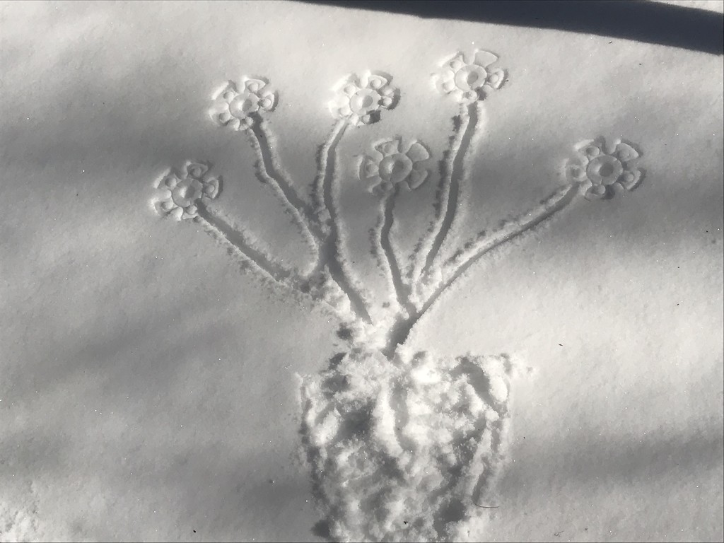 Snow Art by frantackaberry
