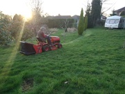 26th Feb 2019 - One man went to mow