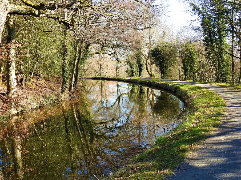  The Brecon and Monmouth Canal by susiemc