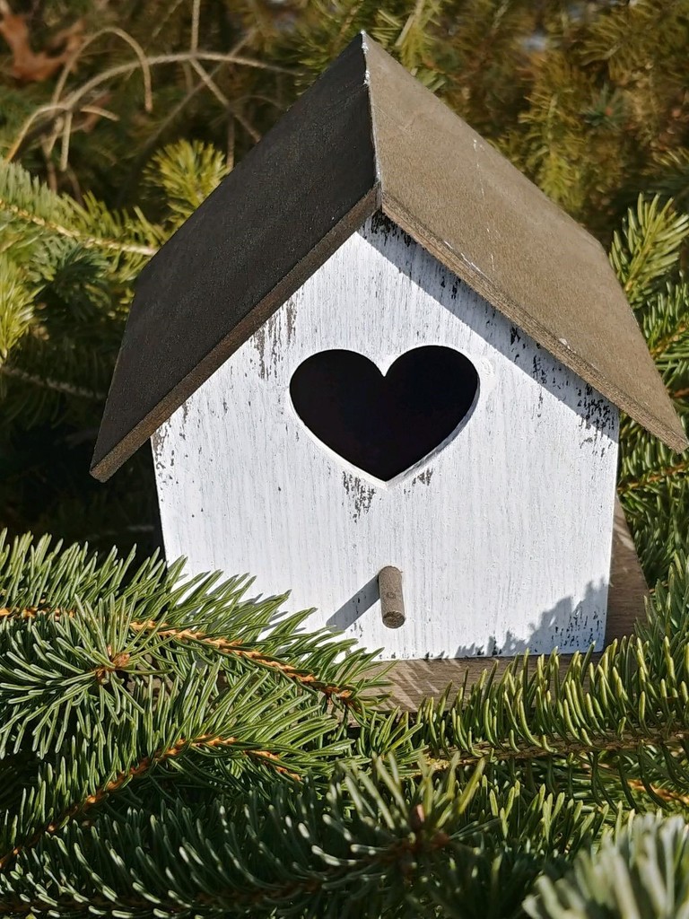 Bird House Heart  by jo38
