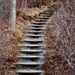 Climb the Steps by radiodan