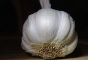 26th Feb 2019 - Day 57: Garlic