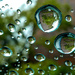 We finally had a few drops of rain! by ludwigsdiana