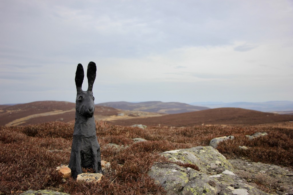 The Hare of Cairn Leuchan by jamibann
