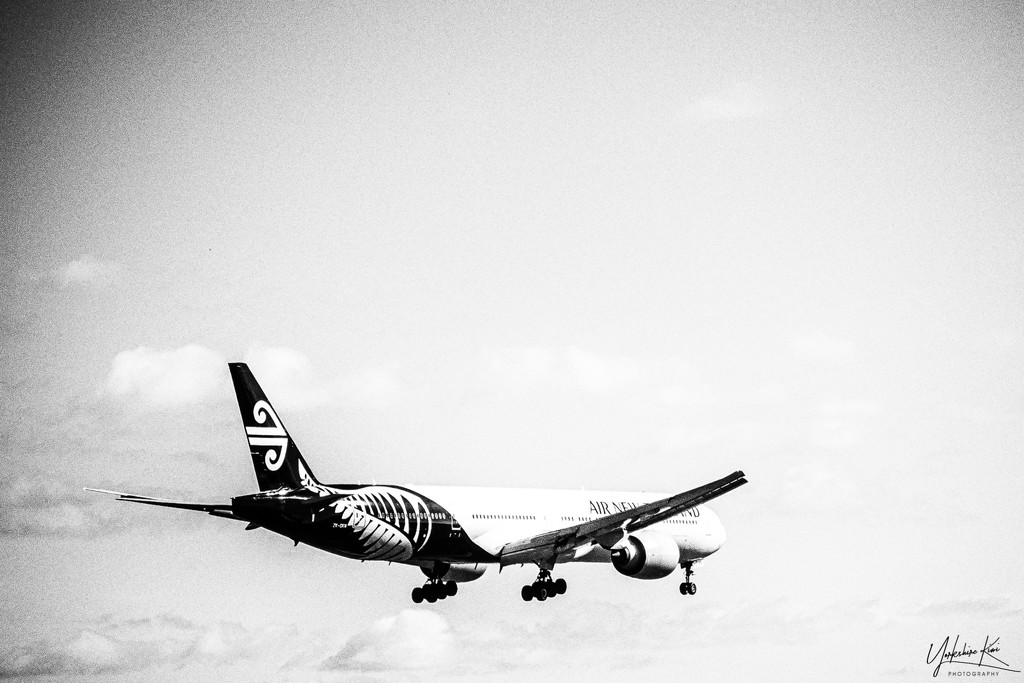 Air New Zealand by yorkshirekiwi