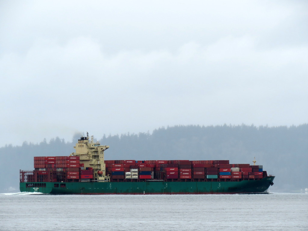 Container Ship On Puget Sound by seattlite