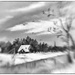 painting blur b&w by jernst1779