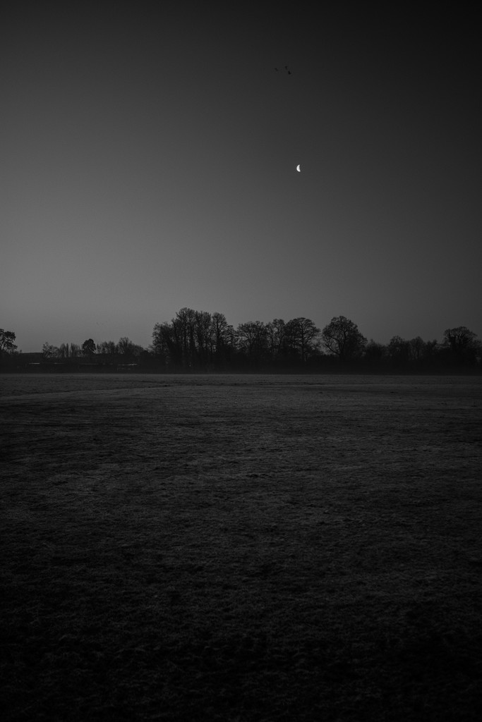 Half moon over Morden Park by rumpelstiltskin