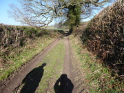 27th Feb 2019 - A lovely sunny day for a walk in the countryside..