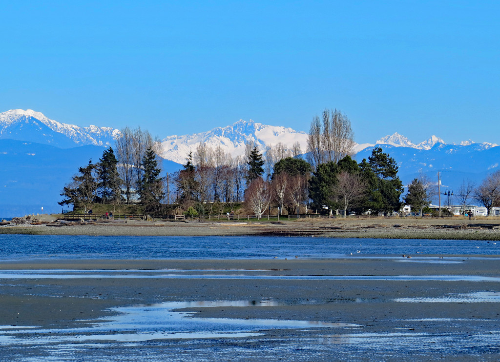 Parksville Beach, B.C. by kathyo