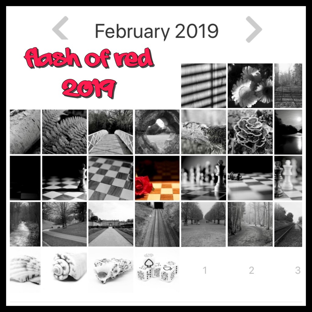 FlashOfRed 2019 by phil_sandford