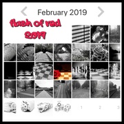 28th Feb 2019 - FlashOfRed 2019