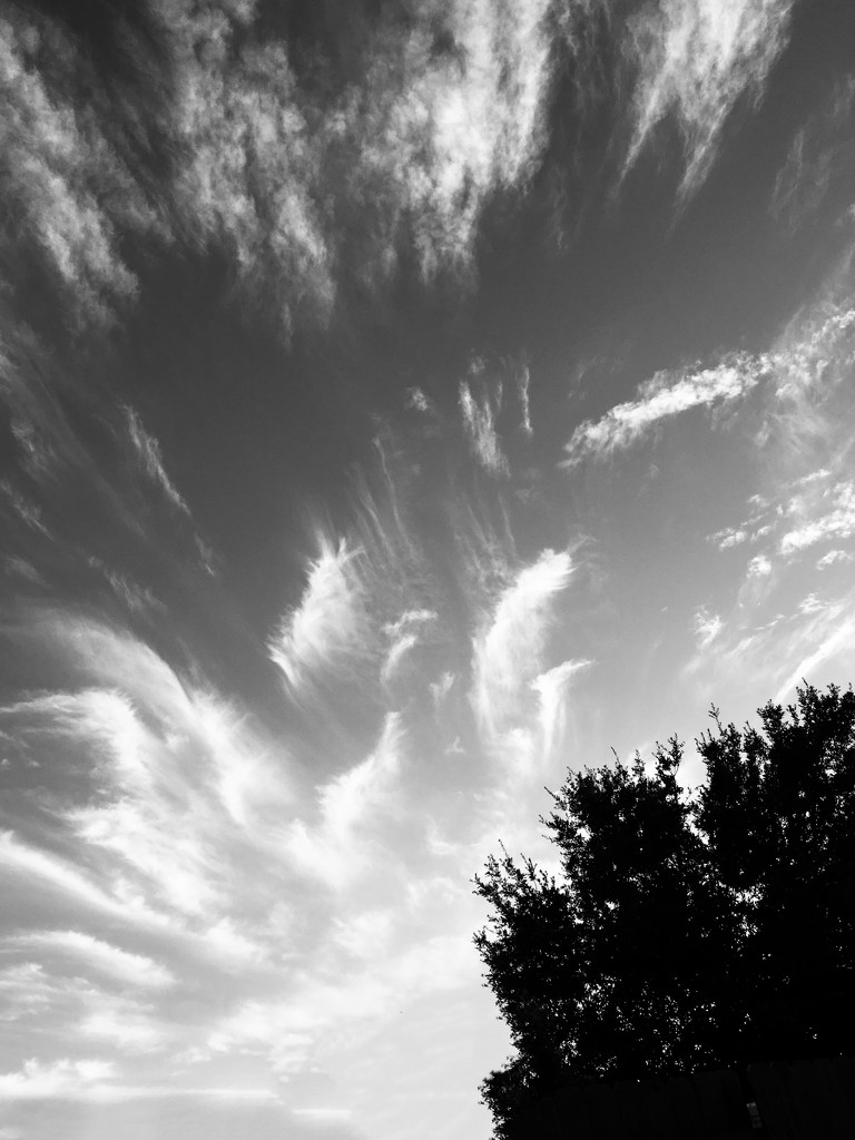 Wispy sky by shutterbug49
