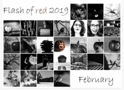 28th Feb 2019 - Flash of red 2019