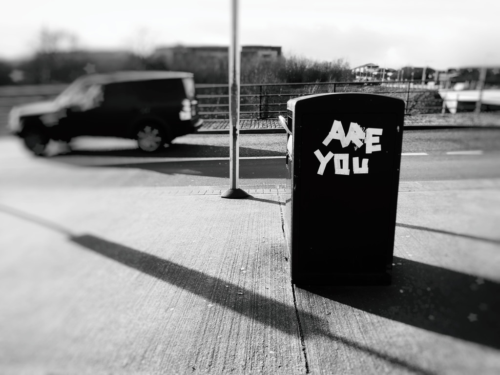 Cryptic bin... by m2016