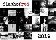 28th Feb 2019 - Flash Of Red 2019