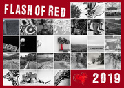 1st Mar 2019 - Flash of Red