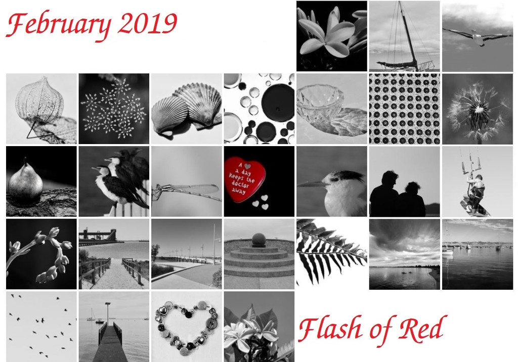 Flash of Red Calendar by merrelyn