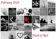 28th Feb 2019 - Flash of Red Calendar