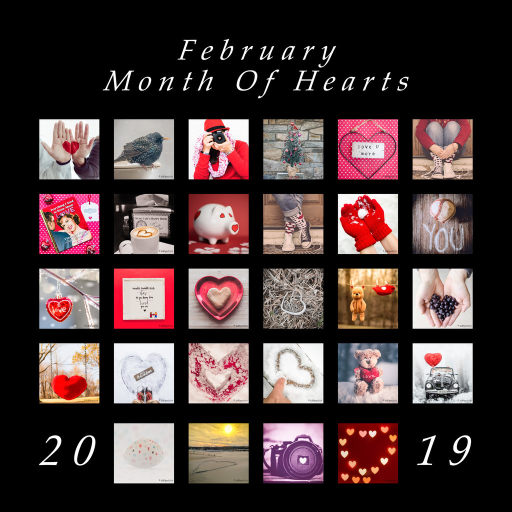 A Month Of Hearts  by lesip