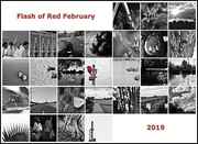 28th Feb 2019 - Flash of Red February 2019