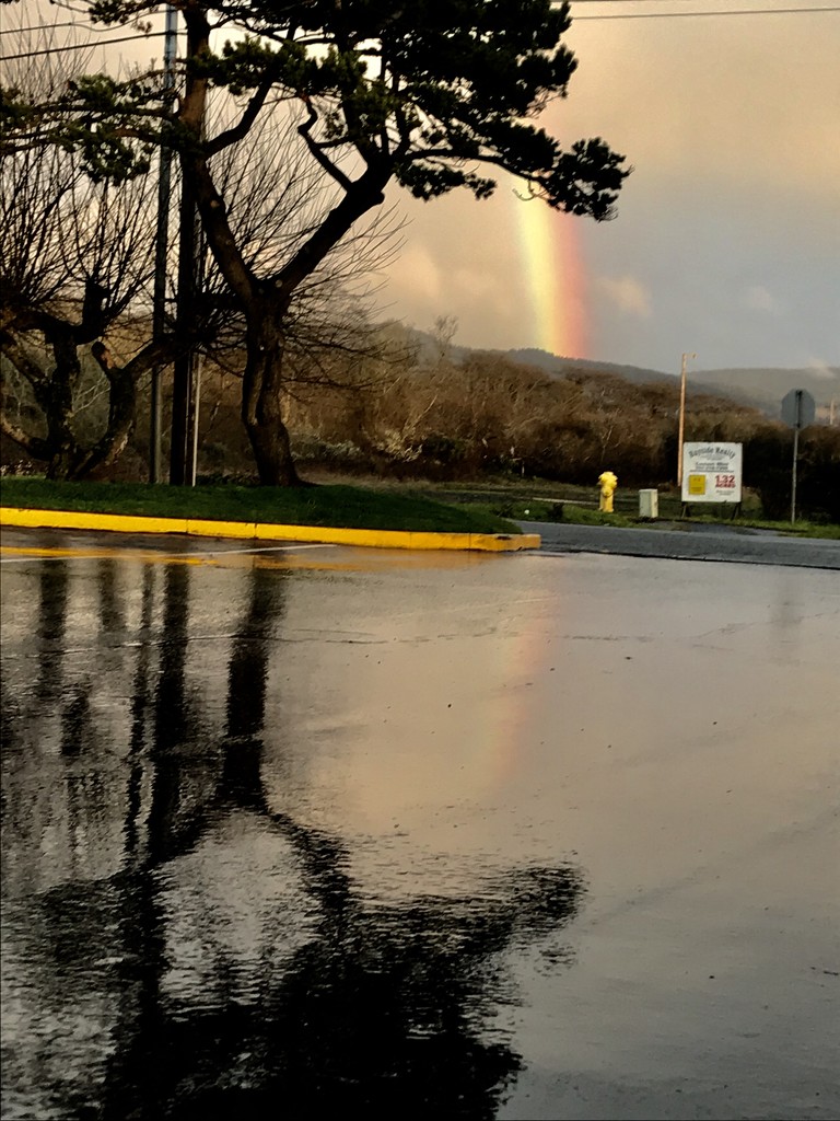 Reflection of the Rainbow by pandorasecho