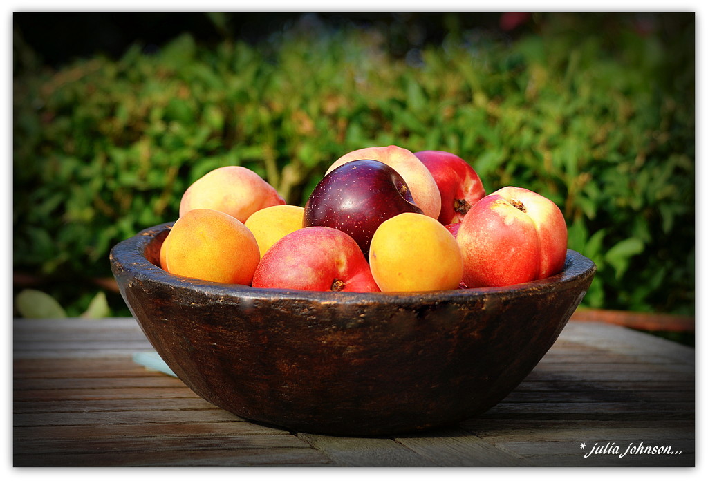 Summer Stone Fruit.. by julzmaioro