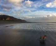 28th Feb 2019 - Pug on Beach