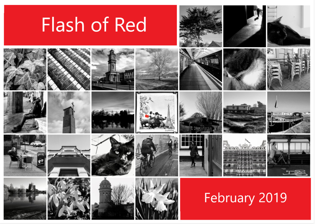 Flash of Red I by 4rky
