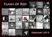 1st Mar 2019 - Flash of Red 2019 