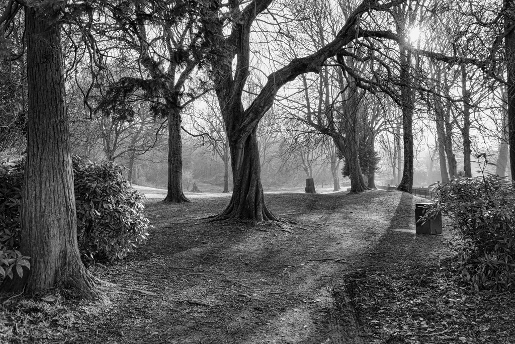 Kendal Castle Park by ellida