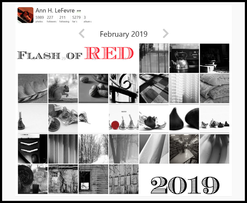 Flash of Red 2019 by olivetreeann
