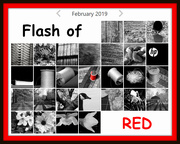 1st Mar 2019 - Flash of Red 2019 Complete