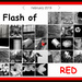 Flash of Red 2019 Complete by homeschoolmom