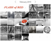 1st Mar 2019 - Flash Of Red, February 2019