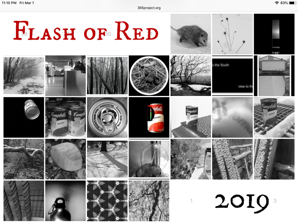 Flash of Red 2019 by mcsiegle