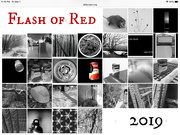 1st Mar 2019 - Flash of Red 2019