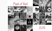 1st Mar 2019 - Flash of Red 2019 Month