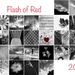 Flash of Red 2019 Month by shutterbug49