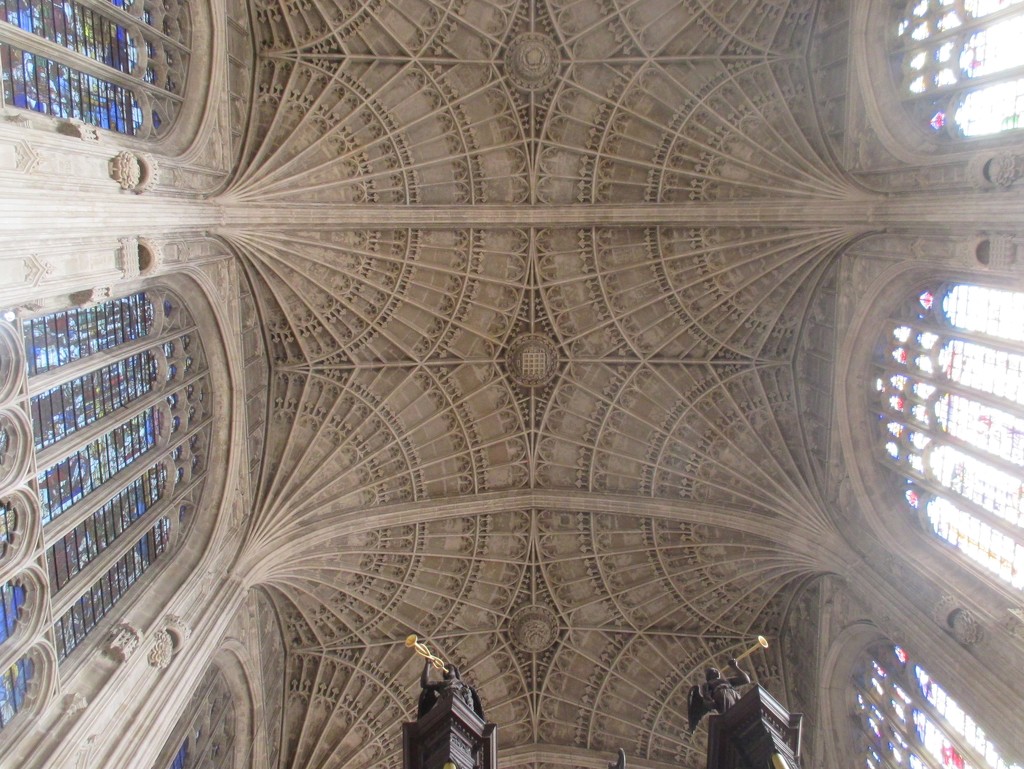 Fantastic Fan Vaulting  by foxes37