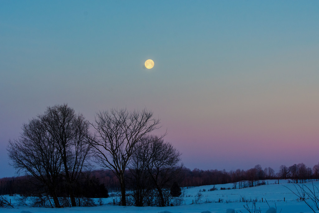 Moon Shot by farmreporter