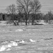 February Word - Landscape by farmreporter